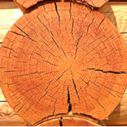 Утеплитель для бруса, бревен, сруба